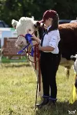 70-A Moore Media 2022-34 (Small)