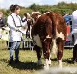 92-A Moore Media 2022-14 (Small)