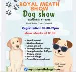 Dog Show26.PNG