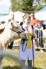 49-A Moore Media 2022-13 (Small)