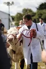 69-A Moore Media 2022-33 (Small)