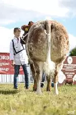 61-A Moore Media 2022-25 (Small)