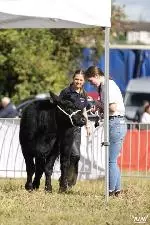 68-A Moore Media 2022-32 (Small)