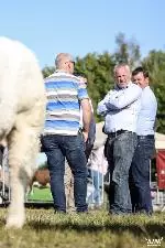 125-A Moore Media 2022-47 (Small)