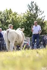 87-A Moore Media 2022-09 (Small)