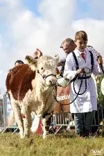 66-A Moore Media 2022-30 (Small)