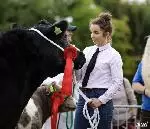 113-A Moore Media 2022-35 (Small)