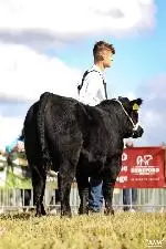 71-A Moore Media 2022-35 (Small)