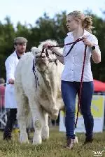 85-A Moore Media 2022-07 (Small)