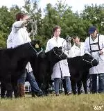 115-A Moore Media 2022-37 (Small)