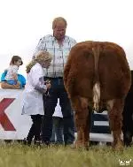 78-A Moore Media 2022-42 (Small)